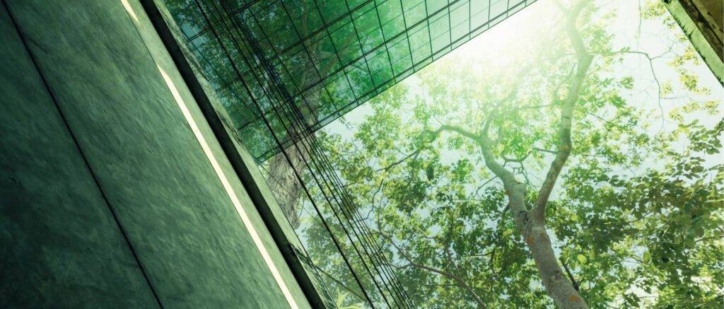 Sandy Alexander's sustainability background image.