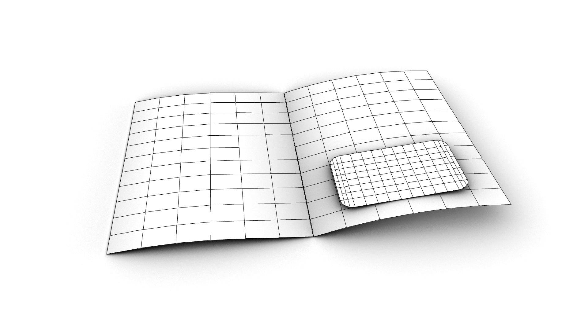 Sandy Alexander's design options for direct mail promotions.