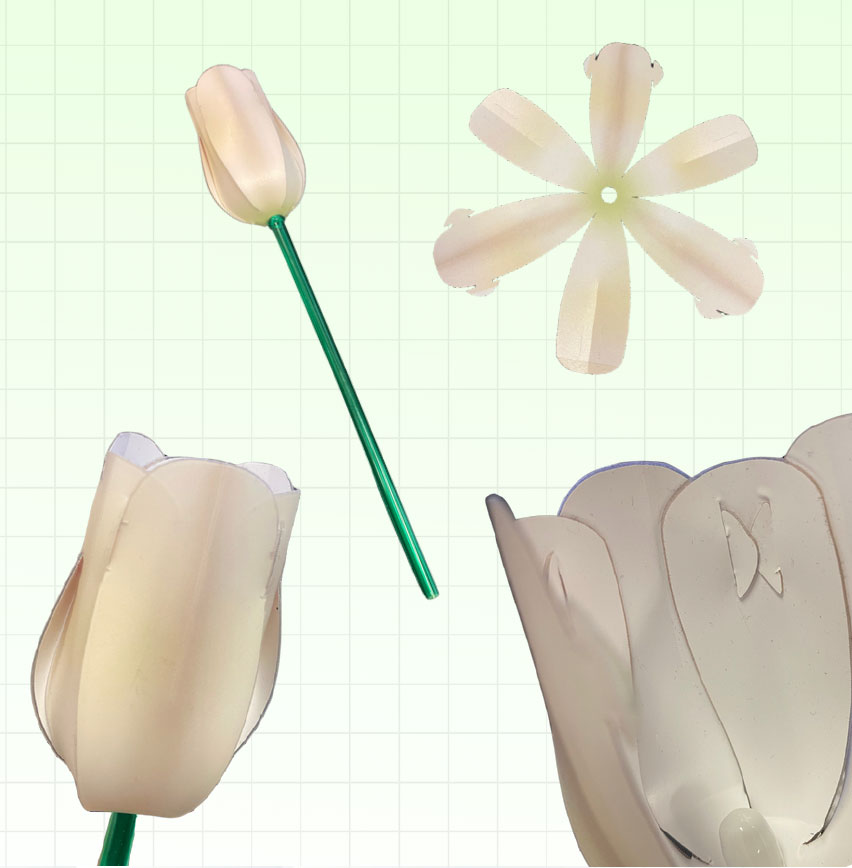 Four stages of making a white tulip flower from a plastic bottle, shown against a light green grid background: a cut bottle, a single petal, the opened flower, and Sandy Alexander’s close-up of the finished bloom on a green stem.