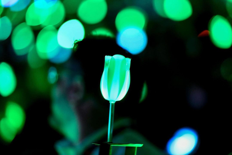 A glowing tulip-shaped light from Sandy Alexander stands out against a blurred background of green and blue circular lights in a dark setting, creating a vibrant, festive atmosphere.
