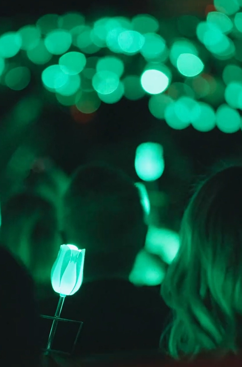 A glowing green tulip-shaped light is held among a crowd, with other out-of-focus green lights creating a soft, dreamy bokeh effect in the background, reminiscent of Sandy Alexander’s luminous photography style.